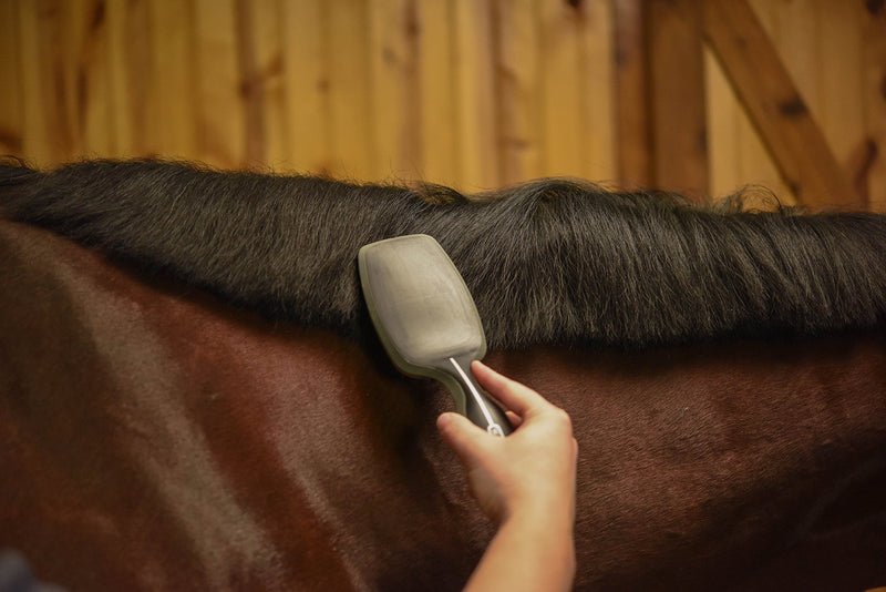 Wahl Professional Horse Brush for Horses, Mane and Tail, Horse Brush (#858709-100) - Horse Brushes for Grooming - Horse Grooming Tool - Tail & Mane Horse Brush - Black - PawsPlanet Australia