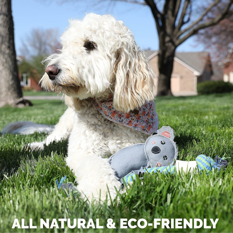 Pet Zone Choy All Natural Rope and Water Buffalo Bone Dog Chew and Dog Toys (Eco-Friendly Interactive Dog Toys, Dog Chew Toy, Dog Bone, Dog Rope Toy, and Dog Tug Toy in One) 1 Count (Pack of 1) Koala - PawsPlanet Australia