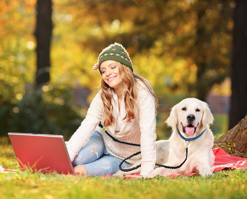 [Australia] - Hertzko Hands-Free Weather Resistant Dog Leash 48 inches Bungee 