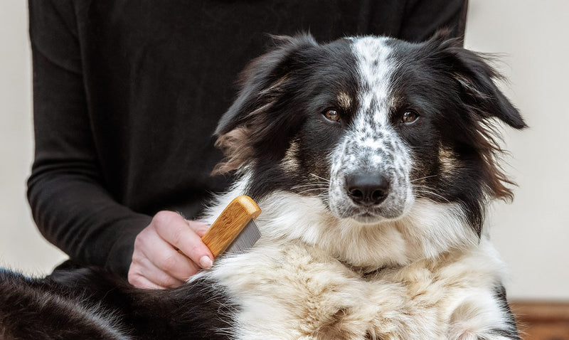 Mikki Bamboo Anti-Tangle Flea and Tick Removal Comb for Dog, Cat, Puppy, for All Coat Types, Removes Flea Eggs, Handmade from Natural Sustainable Bamboo - PawsPlanet Australia
