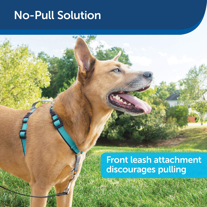 [Australia] - PetSafe 3 in 1 Harness - No-Pull Dog Harness - for X-Small, Small, Medium and Large Breeds - from the Makers of the Easy Walk Harness Teal 