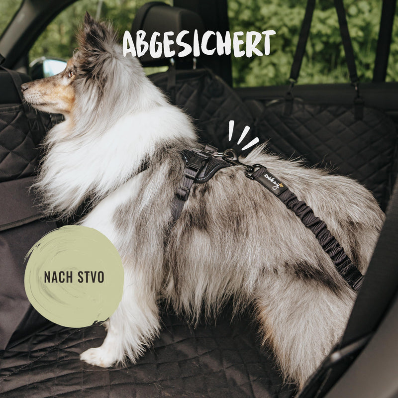 Rudelkönig dog belt for the car - adjustable seat belt - seat belt with cushioning for all dog breeds and car types black - PawsPlanet Australia