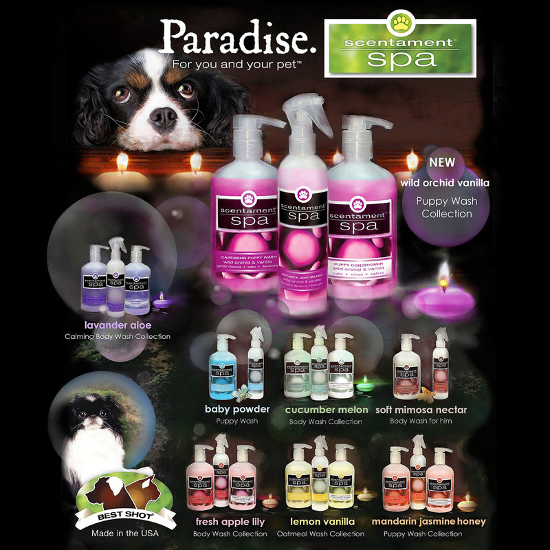 [Australia] - Best Shot Pet Scentament Spa Soft Mimosa Nectar Body Splash Spray Soft Mimosa & Nectar 