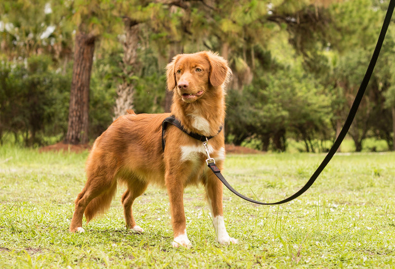 [Australia] - Leashboss No-Pull Dog Harness - Front and Rear Clip - Reflective - Padded for Walking and Training Large Black/Red/Grey/Reflective 