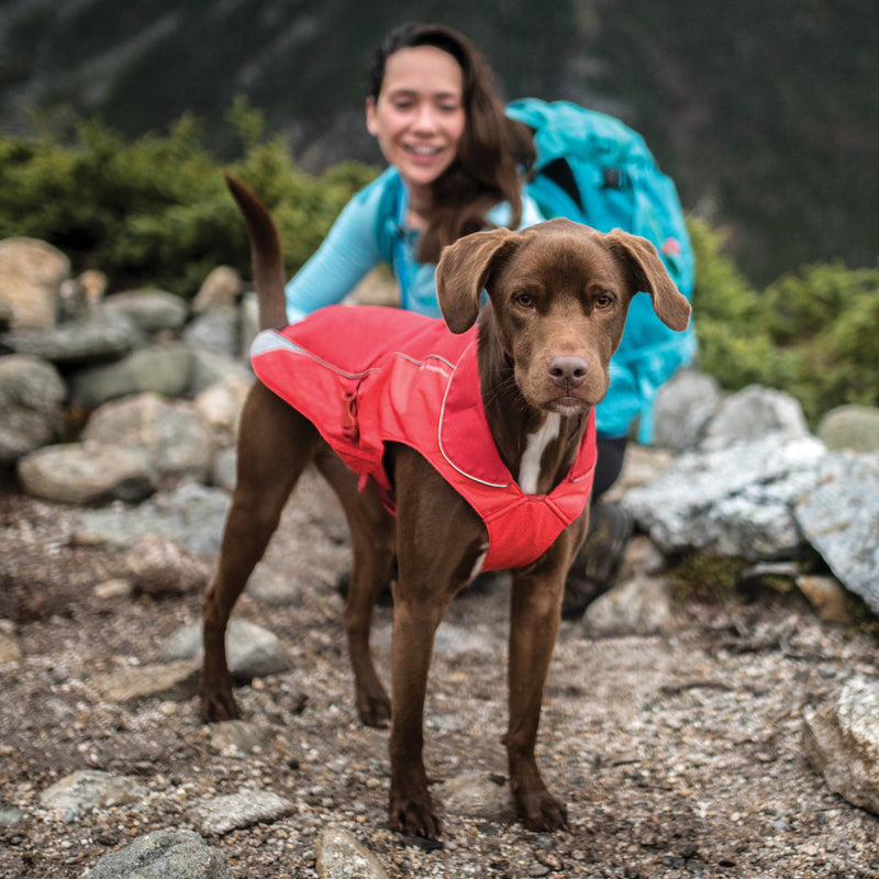 [Australia] - Kurgo Waterproof Dog Jacket | Winter Coat for Dogs | Pet Raincoat with Fleece Lining | Reflective | Easy On & Off | Harness Opening | North Country Coat | For Small, Medium, Large Pets Red 