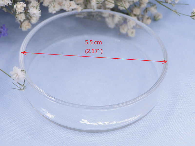 [Australia] - ISTA Clear Glass Dish Tray Bowl Shrimp Snail Fish Feeder Food Feeding Aquarium by Aquarium Supplies 