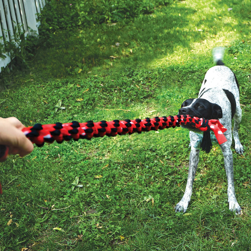 KONG Signature Rope Dog Toy (Double Tug, 22") - PawsPlanet Australia