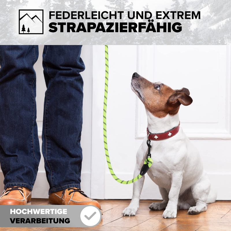 District North Reflective Dog Lead - 150cm Long Training Lead for Dogs - Comfortable Padded Lead Dog Leash - Class Dog Leads for Large Dogs (150cm, Green) 150cm - PawsPlanet Australia