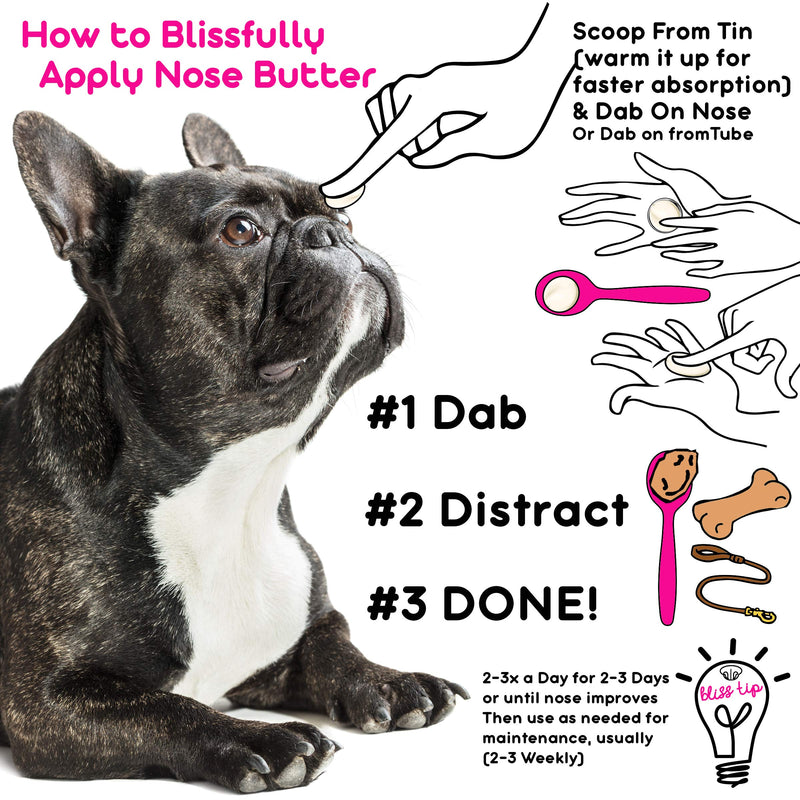 [Australia] - The Blissful Dog Nose Butter for Dry Dog Nose French Bulldog - Cream Scented 1 Ounce 