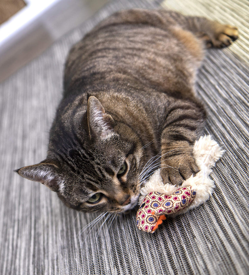 [Australia] - Petlinks Refillable Catnip Cat Toys Fresh Catch 