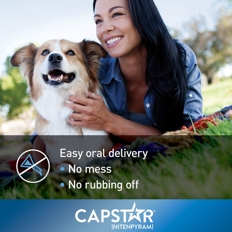 Capstar Fast-Acting Oral Flea Treatment for Dogs Large Dogs, 26-125 lbs - PawsPlanet Australia