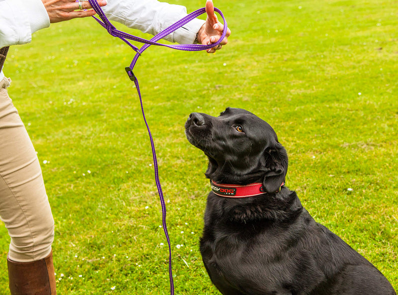 Gencon All-in-1 Dog Lead & HeadCollar with Clip to Collar - Black/silver - PawsPlanet Australia