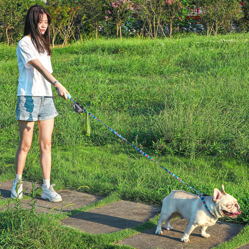 simpletome Portable Dog Waste Bag Dispenser Holder Carrier Leash Attachment with 1 Roll Poo Waste Bag Durable Metal Hook for Pets Walking Running Hiking (Grey) Grey - PawsPlanet Australia