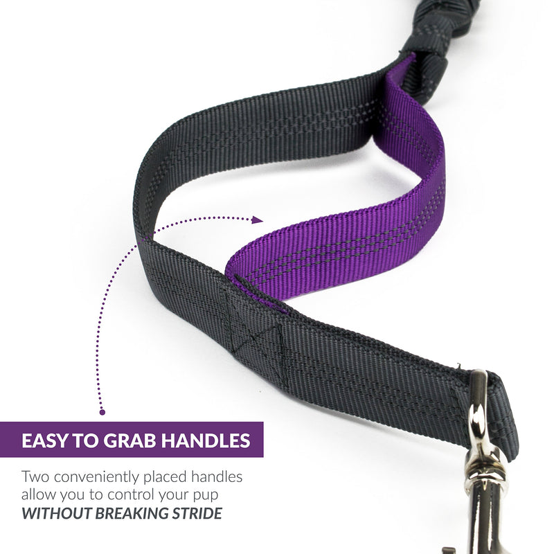 [Australia] - Tuff Mutt Hands Free Dog Leash for Running, Walking, Hiking, Durable Dual-Handle Bungee Leash is 4 Feet Long with Reflective Stitching, Adjustable Waist Belt That Fits 42 Inch Waist Purple 