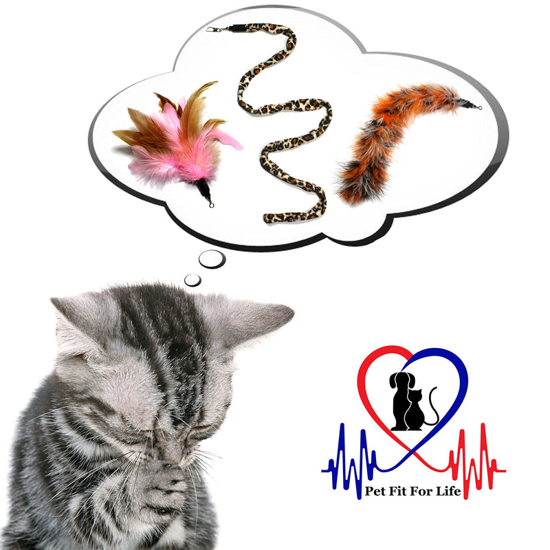 [Australia] - Pet Fit For Life 3 Piece Dual Rod Feather Teaser and Exerciser with a Slithering Snake for Cat and Kitten - Cat Toy Interactive Cat Wand… 