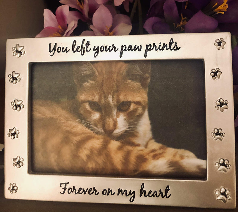 [Australia] - NewLifeLandia Pet Memorial Picture Frame for Dog or Cat Perfect Loss of Pet Gift for Remembrance and Healing 