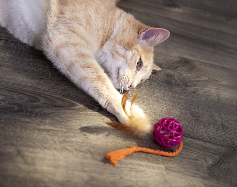 [Australia] - SmartyKat Catnip and Feather Cat Toys Feather Chase 