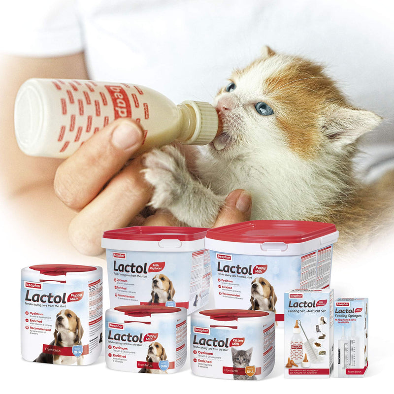 Beaphar Lactol Kitten, 250 g 250 g (Pack of 1) - PawsPlanet Australia