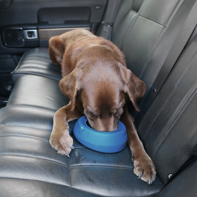 [Australia] - Kurgo No Spill Dog Travel Bowl | Portable No-Mess Water Bowl for Dogs | Splash Less Pet Bowl for Car Travel | Mess Free | Dog Travel Accessories | Splash Free Wander Water Bowl | Blue & Red | 24 oz 