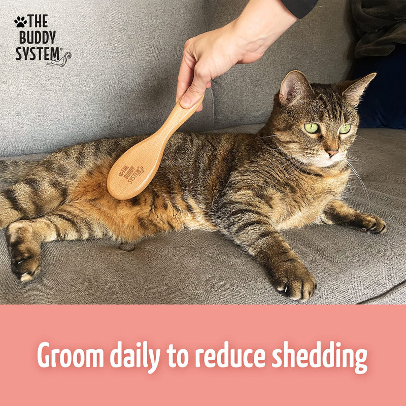 The Buddy System Cat Brush with Boar Bristle and Wooden Handle, Professional Grade Daily Grooming Hairbrush, Reduce Shedding, Soft Hair and Healthy Shine 1 Pack - PawsPlanet Australia