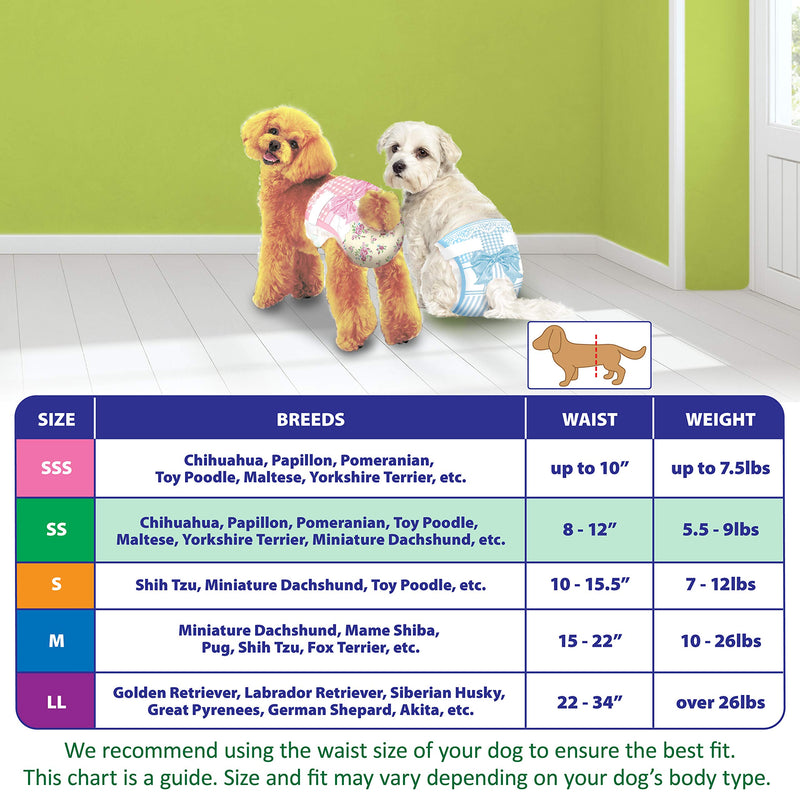 [Australia] - Hartz Disposable Dog Diapers with FlashDry Gel Technology SS  8" - 12" waist, 5.5 - 9 lbs Diaper 