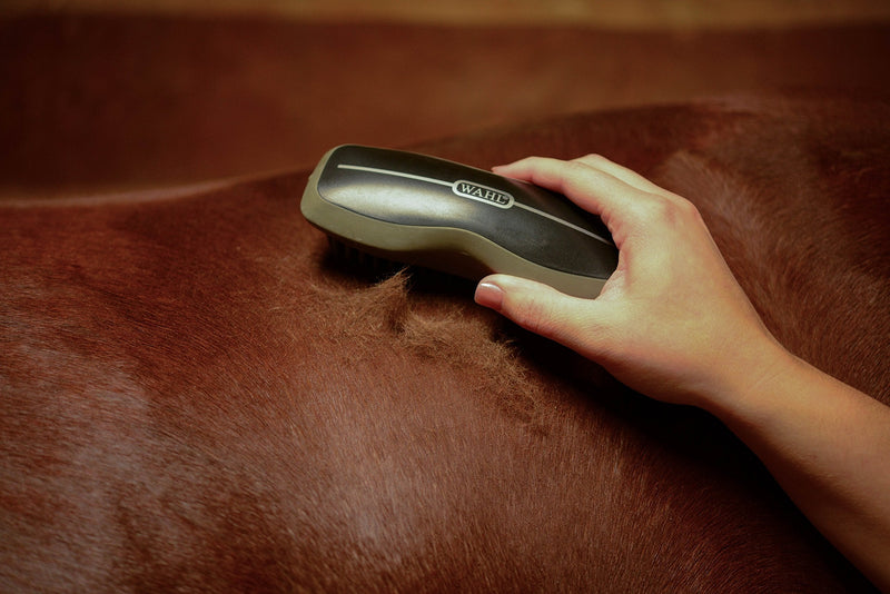 Wahl Professional Animal Equine Grooming Rubber Curry Horse Brush Black - PawsPlanet Australia