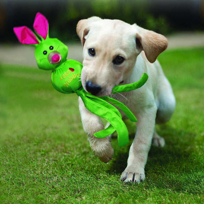 KONG - Wubba Friends Ballistic - Nylon Tug of War Dog Toy (Assorted Characters) - For Large Dogs - PawsPlanet Australia