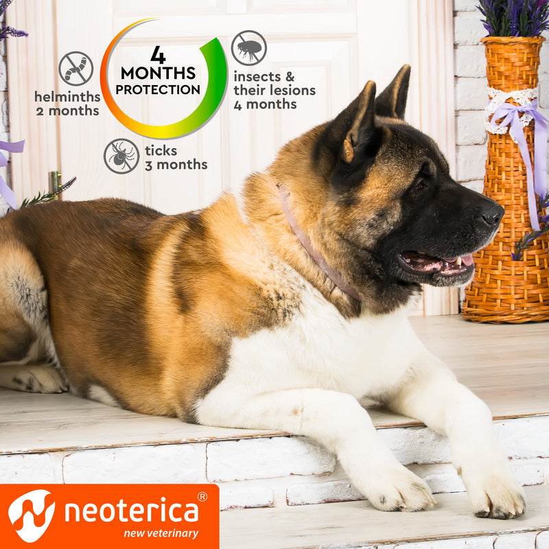 Rolf Club 3D FLEA Collar for Dogs – Flea and Tick Prevention for Dogs – Dog Flea and Tick Control for 6 Months – Safe Tick Repellent – Waterproof Tick Treatment - PawsPlanet Australia