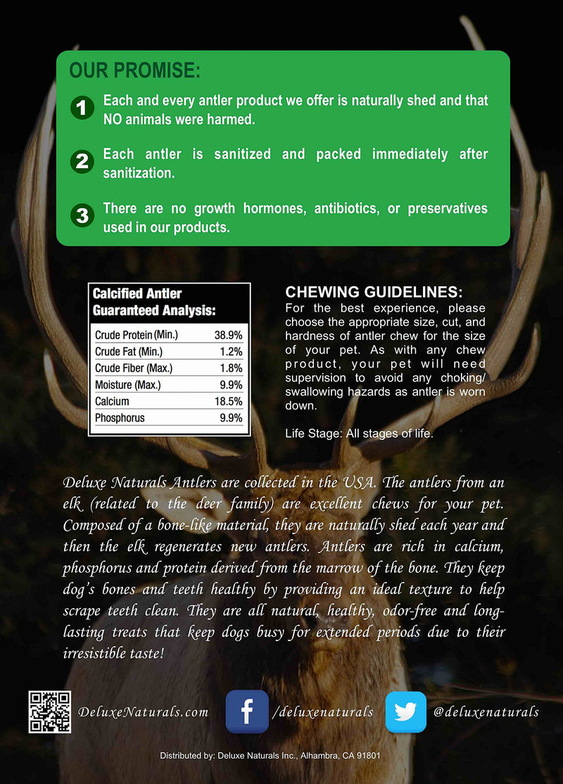 [Australia] - Deluxe Naturals 1-LB Pack Antlers for Dogs, Grade A Premium Naturally Shed Elk Antlers for Dogs, Product of USA 1-Pound Large 