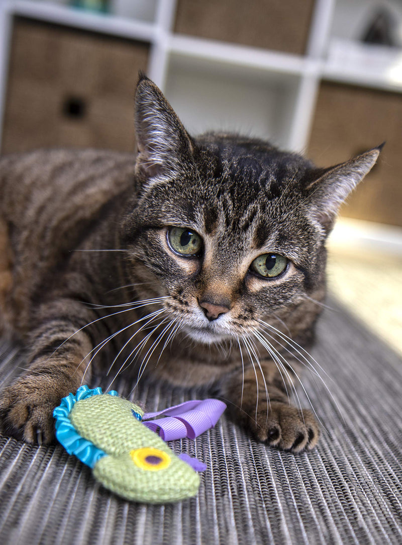 [Australia] - Petlinks HappyNip Catnip Cat Toys with Exciting Silvervine and Catnip Crinkle Chameleon 