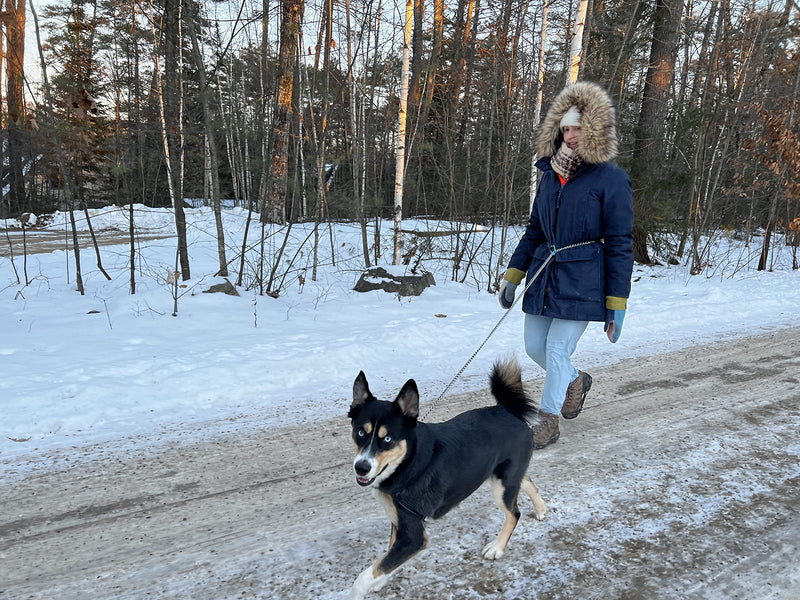 pupperoo Universal Multifunction Leash Tether | Waist Belt Leash | Leash Extension | Short Traffic Safety Leash - The Last Leash Accessory You'll Ever Need! - PawsPlanet Australia
