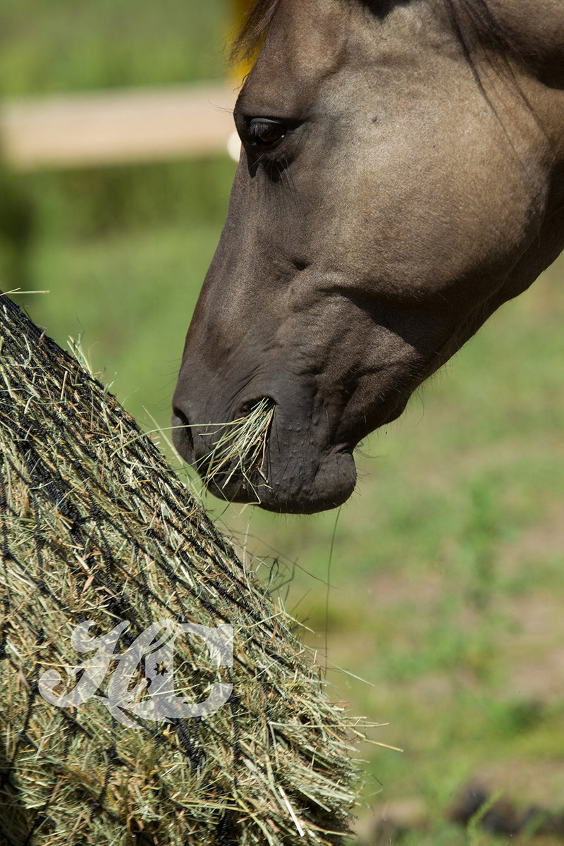 hay chix Slow Feed Hay Net for [Horse and Livestock Health, hay Feeder, hay net, Slow Feed hay net] Save Your time, hay and Money! Half Bale Net (1 3/4" Original) - PawsPlanet Australia