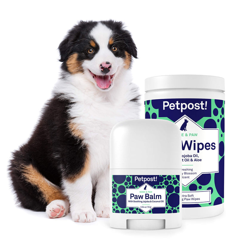 Petpost | Paw Care Kit for Dogs - Paw Wipes & Balm - Cleans and Soothes Itchy Dog Paws - Coconut Oil, Jojoba Oil, and Aloe Treatment - PawsPlanet Australia