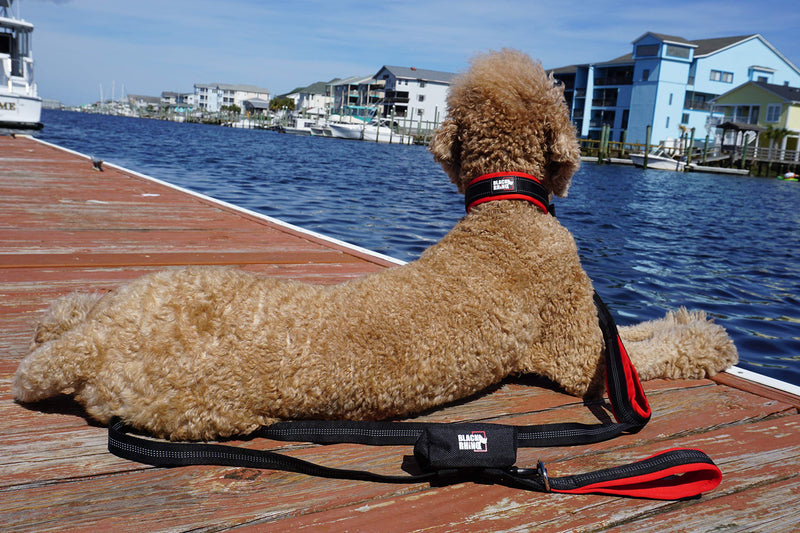 [Australia] - Black Rhino - The Comfort Collar Ultra Soft Neoprene Padded Dog Collar for All Breeds - Heavy Duty Adjustable Reflective Weatherproof Large Red/Black 
