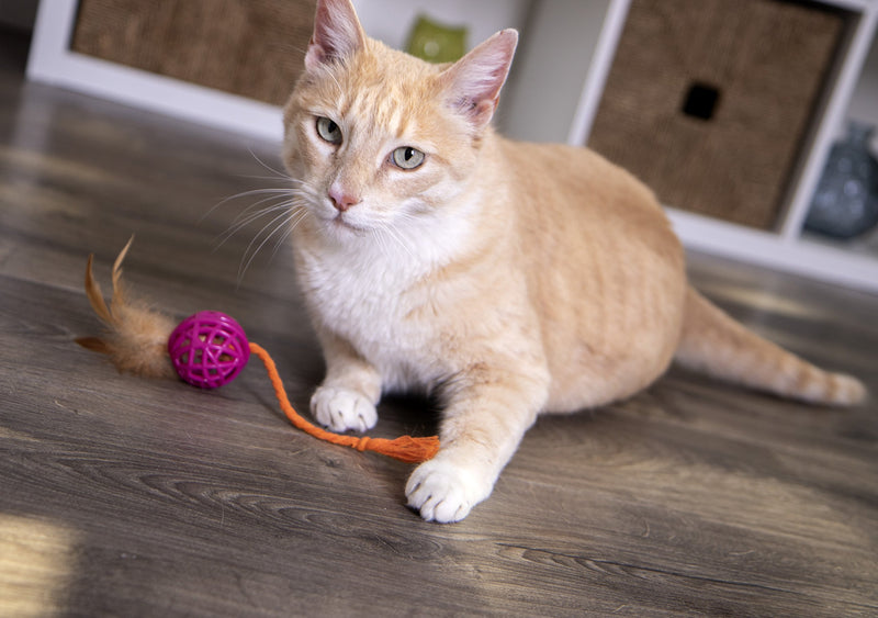 [Australia] - SmartyKat Catnip and Feather Cat Toys Feather Chase 