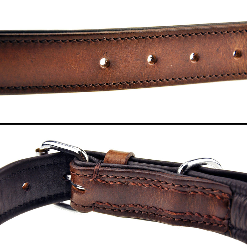 Schnüffelfreunde collar for dogs made of leather, dog collar for large, medium and small dogs, padded leather collar, robust (XL - 46-55cm, brown) XL - 46-55cm - PawsPlanet Australia