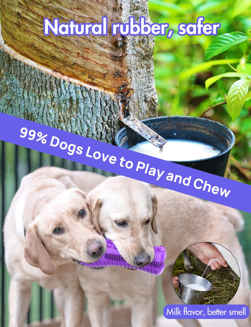 Dog Toys for Aggressive Chewers Large Medium Breed Dog Chew Toys Dog Toothbrush Nearly Indestructible Squeaky Interactive Tough Extremely Durable Toys for Medium Large Dogs A-Purple - PawsPlanet Australia