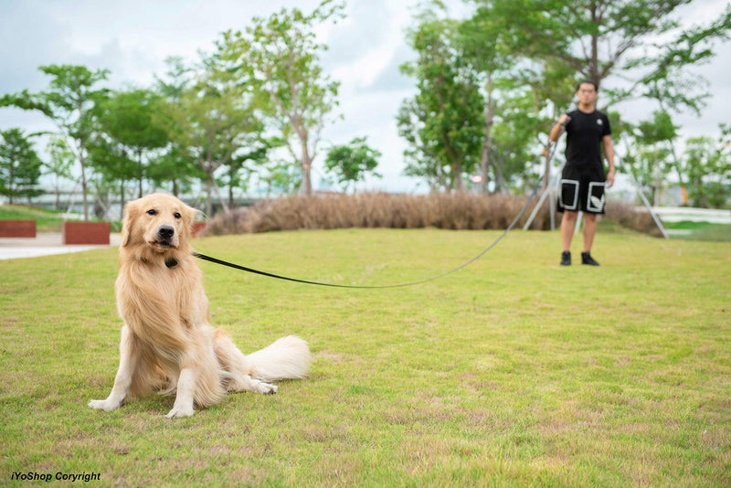 iYoPets Dog Leash and Collar Set with ( 25FT / 15FT / 10FT / 6FT / 5FT / 4FT) 6 Leash Length Choices and 4 Collar Neck Size Choices for X-Small Small Medium and Large Dogs Leash(3/4"x25FT) & Collar(Medium:15"-20") Black - PawsPlanet Australia