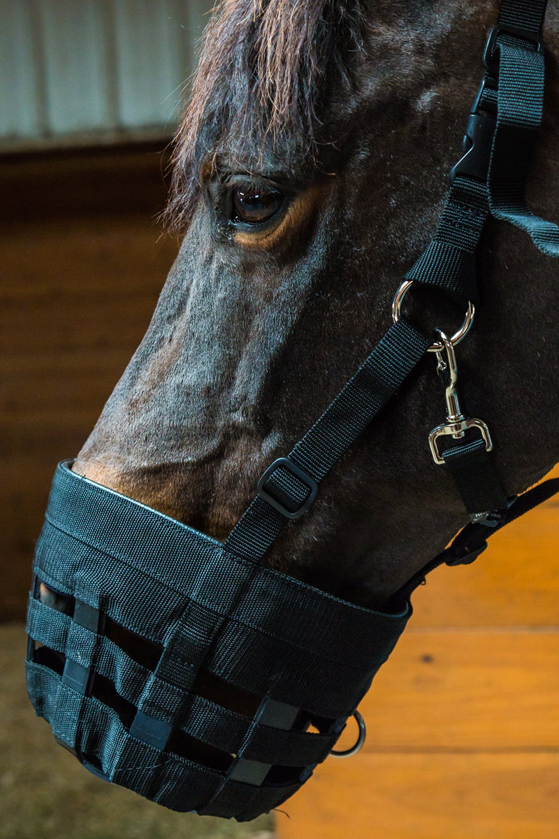 [Australia] - Best Friend Equine Supply Muzzle Grazing Deluxe Cob Blk 