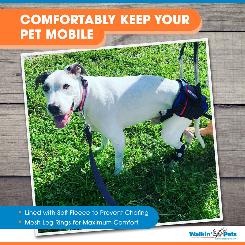 [Australia] - Walkin' Lift Combo Rear Dog Harness for Mobility | Helps Dogs with Arthritis, Senior Dogs and Pets Recovering from Surgery Medium 