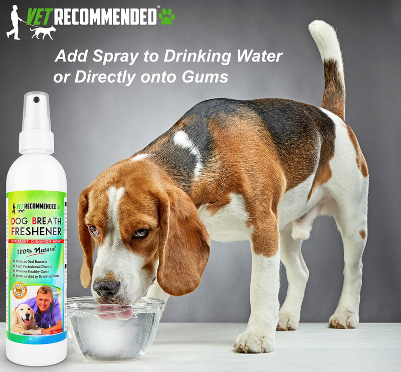 Vet Recommended - Dog Breath Freshener & Pet Dental Water Additive (8oz/240ml) All Natural - Perfect for Bad Dog Breath & Dog Teeth Spray. Spray in Mouth or Add to Pet's Drinking Water. USA Made. - PawsPlanet Australia
