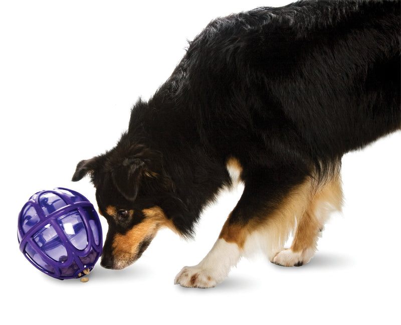 PetSafe Busy Buddy Kibble Nibble M/L, Interactive Meal Dispensing Dog Toy, Feeder Ball for Medium and Large Dogs Purple 1 Count (Pack of 1) - PawsPlanet Australia