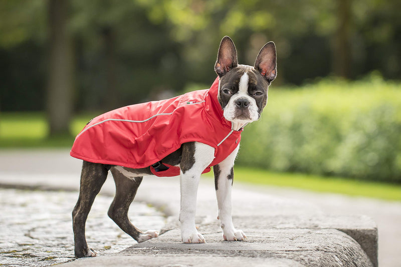 CHIARA Chester Dog Raincoat, Red, 2X-Large XXL - PawsPlanet Australia