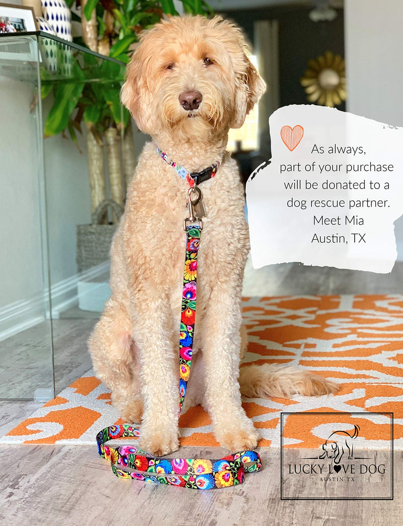 [Australia] - Lucky Love Dog Cute Female Dog Collars Small, Medium, Large |Matching Collar Leash Set, Premium, Floral Collars for Girl Dogs Blackbird Collar/Leash Combo 