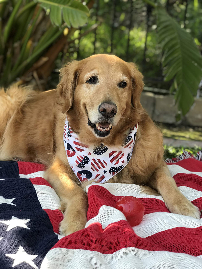 Willowear 4th of July Red White and Blue Stars and Stripes Puppy Dog Bandanas Xlarge Bless Your Heart - PawsPlanet Australia