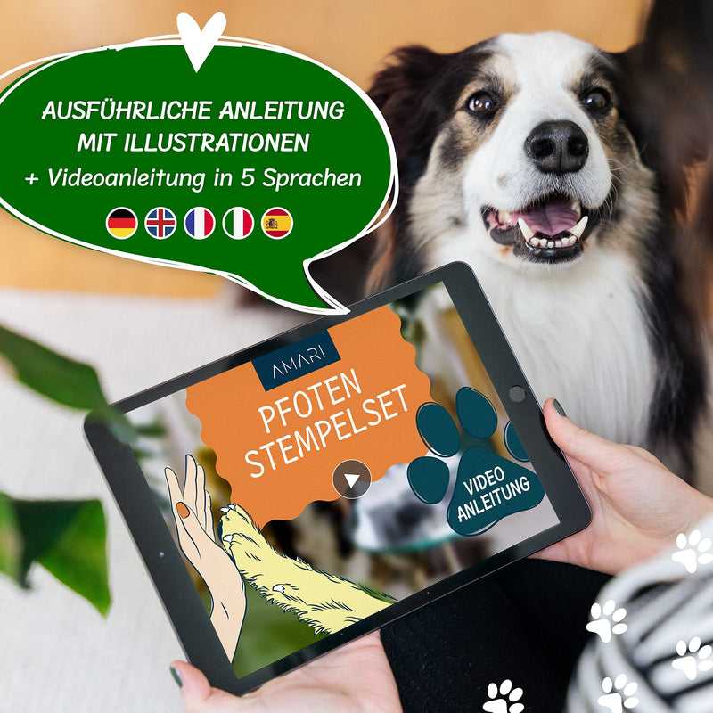 Amari ® paw print set including 2 ink pads and 4 print cards - dog paw print set - gifts for dog owners - cat paw print set - dog memorial paw print ink pad - PawsPlanet Australia