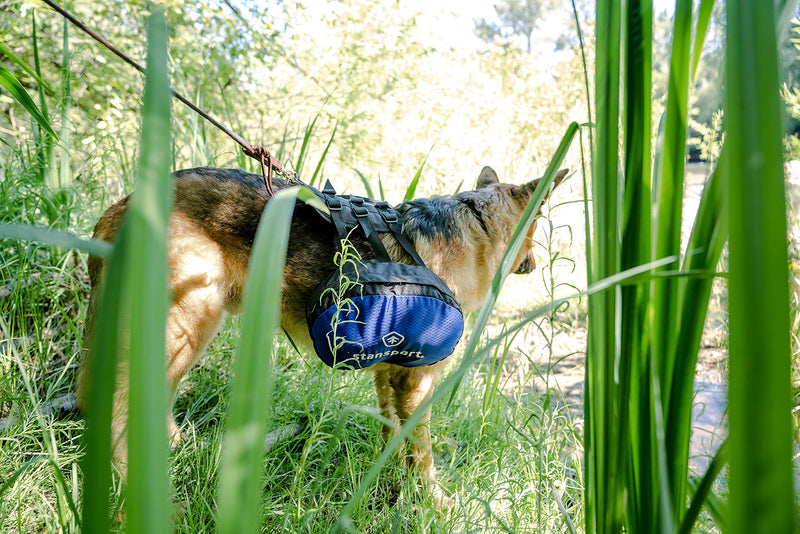 [Australia] - Stansport Saddle Bag for Dogs, Blue with Black Trim, 13" L x 10" W 