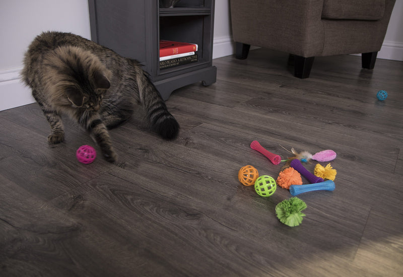 [Australia] - SmartyKat Value Pack Cat Toys Smarty Stash 13 Piece Variety Pack 