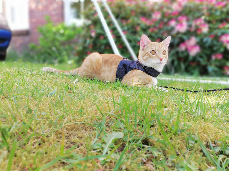 Mynwood Cat Jacket/Harness Black Denim Adult Cat - PawsPlanet Australia