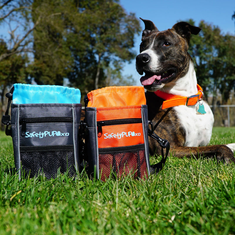 [Australia] - SafetyPUP XD Dog Treat Pouch for Training and Walking Dogs. Carry 3 Ways - Waist Belt, Clip On, or Shoulder Strap. Small, Durable Holder with Waste (Poop) Bag Dispenser and Reflectivity For Visibility Orange 